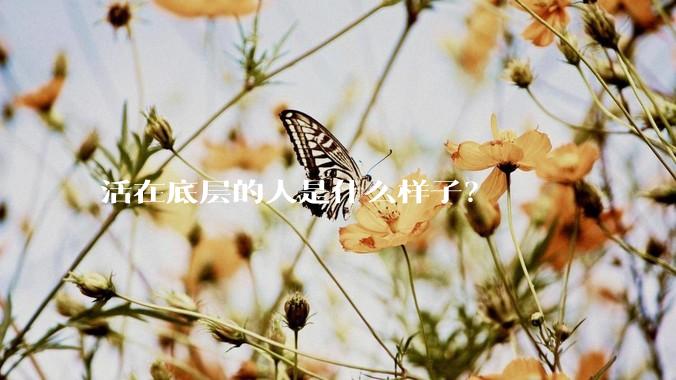 活在底层的人是什么样子？