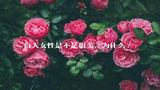 白人女性是不是很美，为什么?