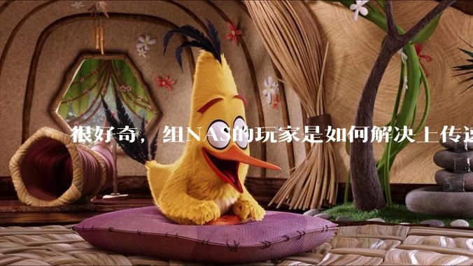 很好奇，组NAS的玩家是如何解决上传速率的问题?