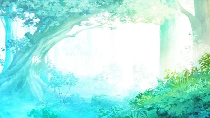 你卡过最厉害的bug是什么？