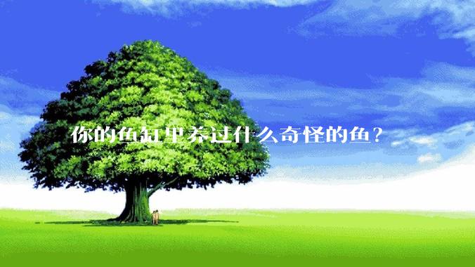 你的鱼缸里养过什么奇怪的鱼？