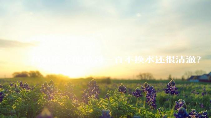 鱼缸能不能做到一直不换水还很清澈？